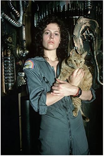Idegen Sigourney Weaver, mint Ripley Tartja Macska 8 x 10 inch-Fotó