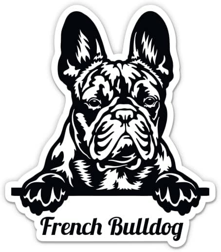 Francia Bulldog Fekete-Fehér Matrica - 5 Laptop Matrica - Vízhatlan Pvc Autó, Telefon, Víz, Üveg - Francia Kutya Matrica
